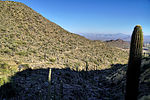 photo thumbnail #5