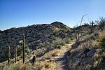 photo thumbnail #6