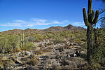 photo thumbnail #2