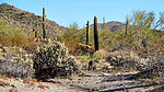 photo thumbnail #5