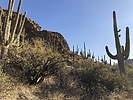 photo thumbnail #2