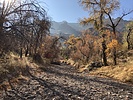 photo thumbnail #4