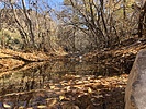 photo thumbnail #5