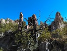 photo thumbnail #11