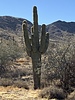 photo thumbnail #3