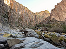 photo thumbnail #11