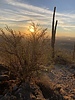 2021-01-13 :2: Corona Loop :: Tortoise_Hiker