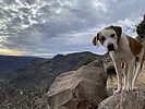 photo thumbnail #1