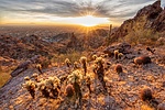 photo thumbnail #8