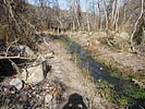 photo thumbnail #14