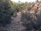 photo thumbnail #5