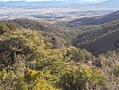 photo thumbnail #10