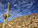 photo thumbnail #5