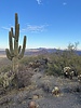 photo thumbnail #1