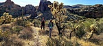 photo thumbnail #5