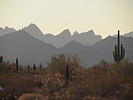 photo thumbnail #2