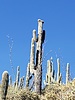 photo thumbnail #3