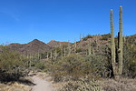photo thumbnail #12