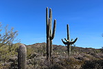 photo thumbnail #13