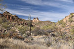 photo thumbnail #7