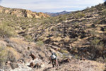 photo thumbnail #9