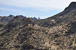 photo thumbnail #12