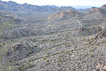 photo thumbnail #9