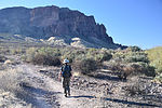 photo thumbnail #3