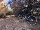 photo thumbnail #8