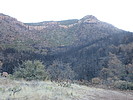 2021-01-18 :2: Apache Peaks - Tonto NF :: DixieFlyer