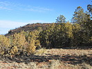2021-01-18 :2: Apache Peaks - Tonto NF :: DixieFlyer