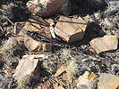 photo thumbnail #12