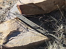 photo thumbnail #15