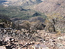 2021-01-18 :2: Apache Peaks - Tonto NF :: DixieFlyer