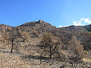 2021-01-18 :2: Apache Peaks - Tonto NF :: DixieFlyer