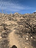photo thumbnail #5