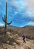 photo thumbnail #10