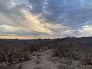photo thumbnail #11