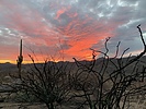 photo thumbnail #12