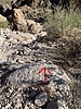photo thumbnail #6