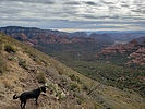 photo thumbnail #9