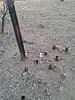 photo thumbnail #10
