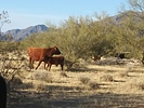 photo thumbnail #3