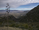 photo thumbnail #10