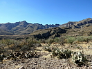 photo thumbnail #1