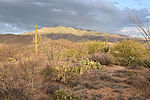 photo thumbnail #2