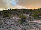 photo thumbnail #3