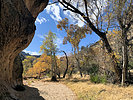2021-01-18 :1: Dripping Springs from Peralta :: ScottHika