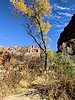 2021-01-18 :1: Dripping Springs from Peralta :: ScottHika