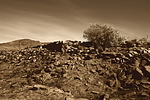 photo thumbnail #15